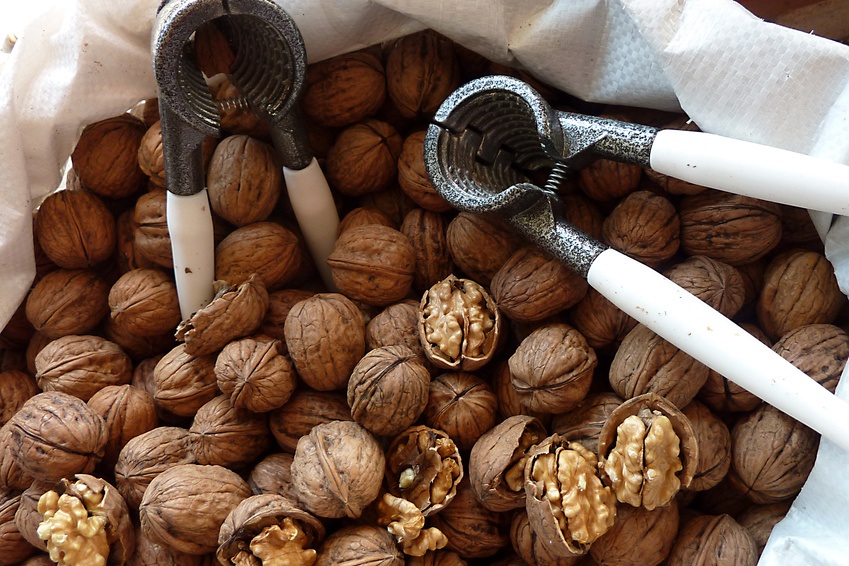 Les oléagineux reviennent en cuisine - Observatoire des Les oléagineux reviennent en cuisine - Observatoire des