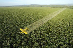 pesticides et environnement