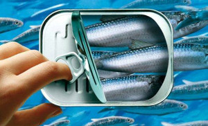 boite sardines