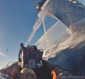 Sea Shepherd arraisonnage
