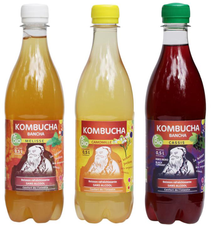 Le kombucha, une algue et une boisson miraculeuse Le kombucha, une algue et une boisson miraculeuse