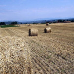 réchauffement et sécurité aiimentaire