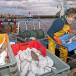 pêcheurs quotas