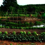 permaculture Inra Bec-Hellouin